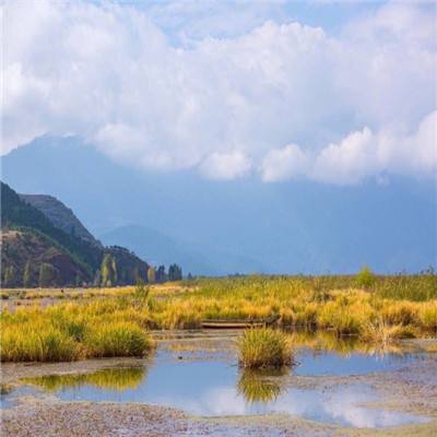唤醒同居小米版手游下载